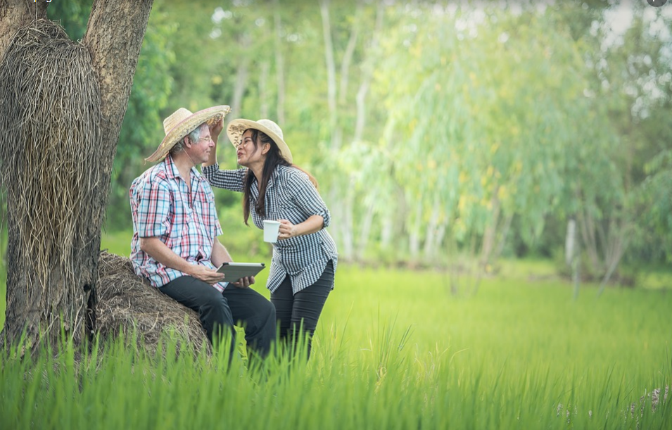 IL PARADISO TERRESTRE FORSE VA CERCATO CON CURA IN GIARDINO